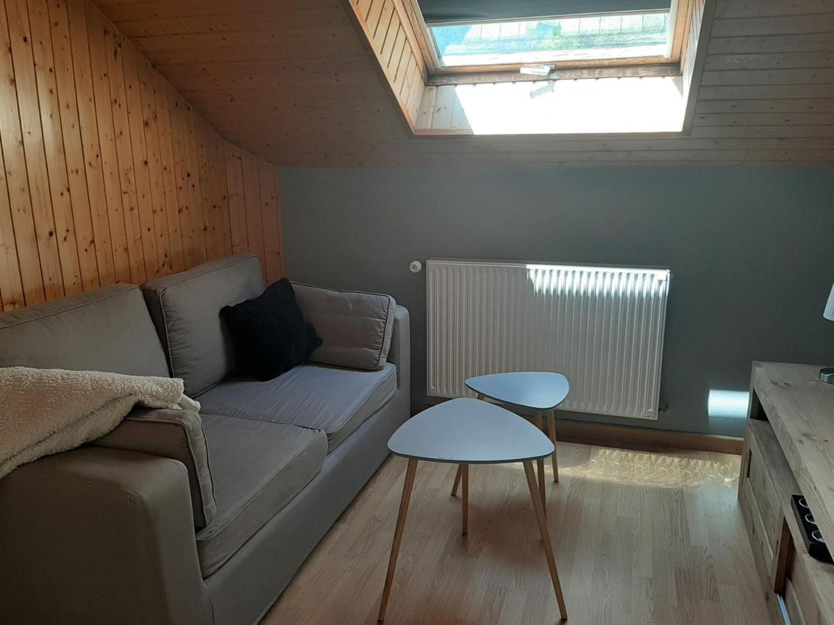 Charmant Appartement 2-4 Personnes Entre Annecy Et Aravis Thones Exterior photo
